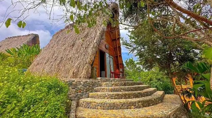 Imagen de las instalaciones de ECO HOTEL BAMBOO TAYRONA
