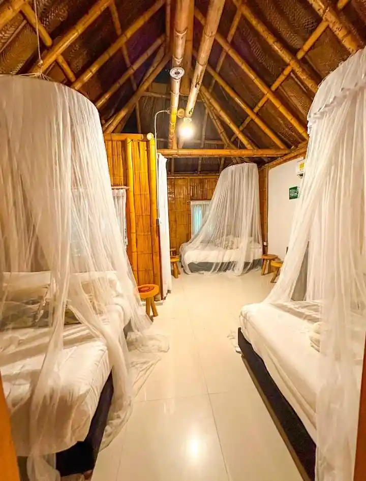 Imagen de las instalaciones de ECO HOTEL BAMBOO TAYRONA