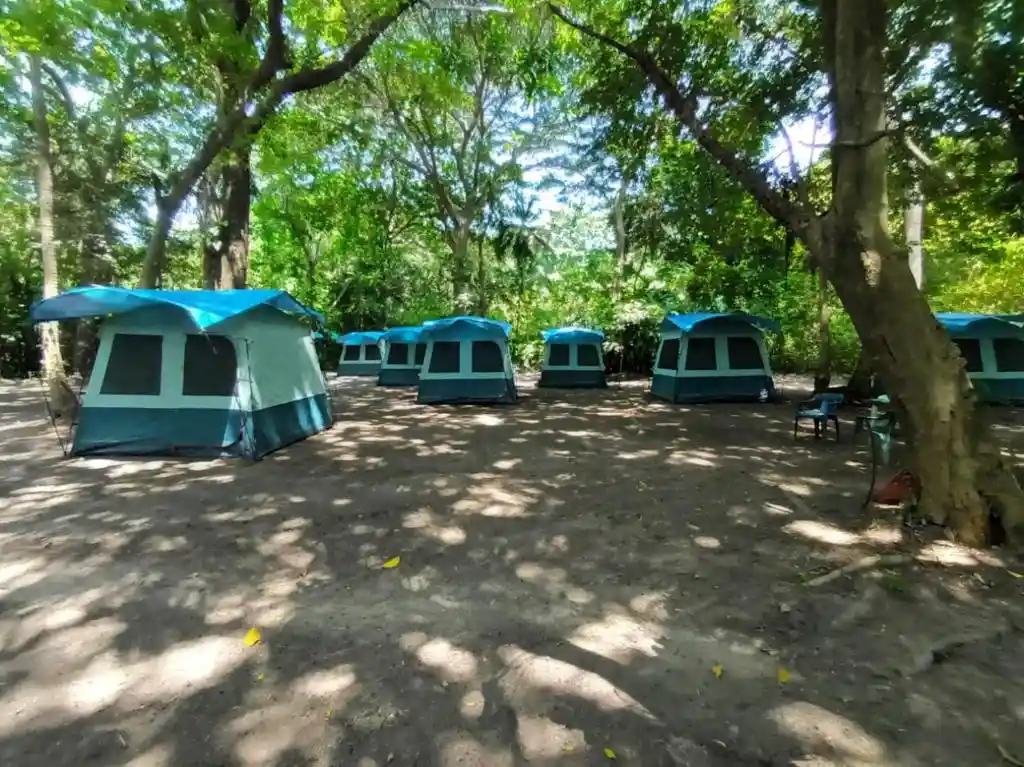 Imagen de las instalaciones de HAPPY CAMPING ARRECIFES