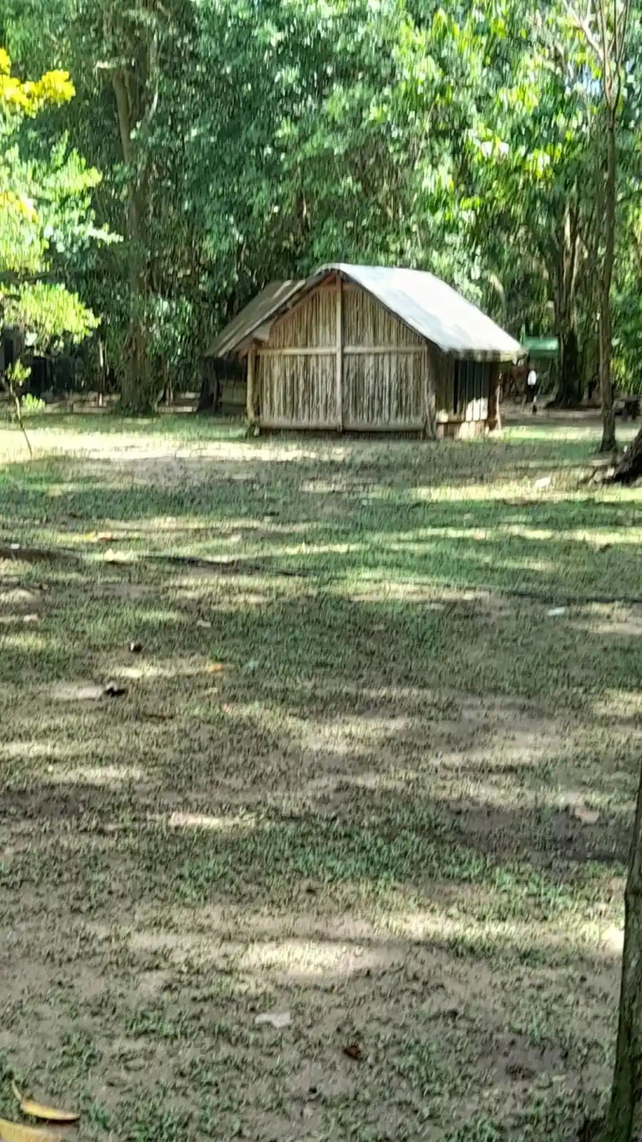 Imagen de las instalaciones de ECO CAMPIG LUI