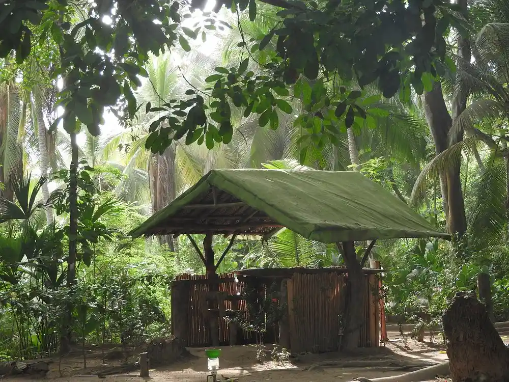Imagen de las instalaciones de ECO CAMPIG LUI